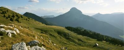 le col du coq