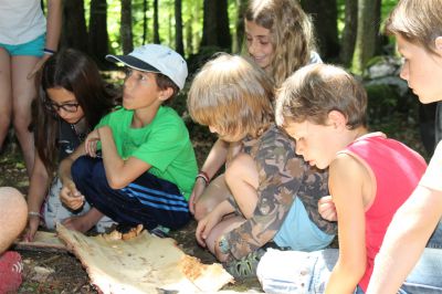 des enfants qui lisent une carte